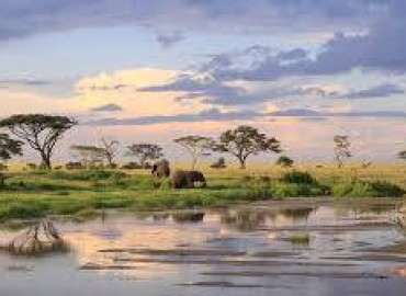 Tanzania - Witness the Great Migration
